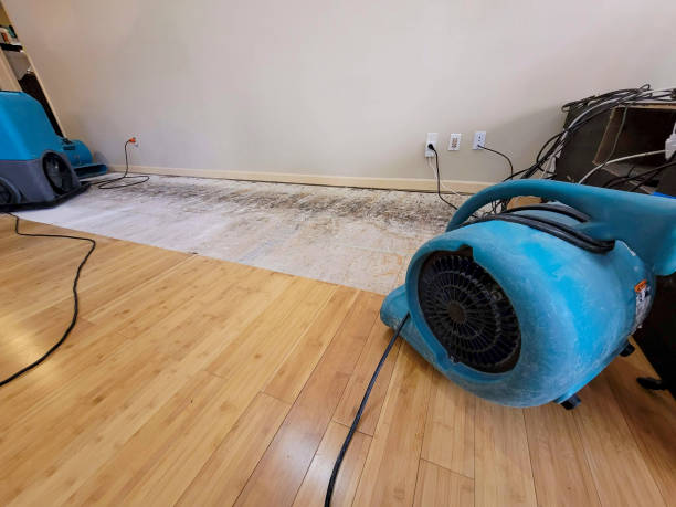 Professional Sewage Cleanup technician working in O'Fallon, IL